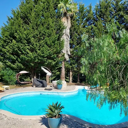 Casa Rustica Com Piscina E Jardim * Calhandriz