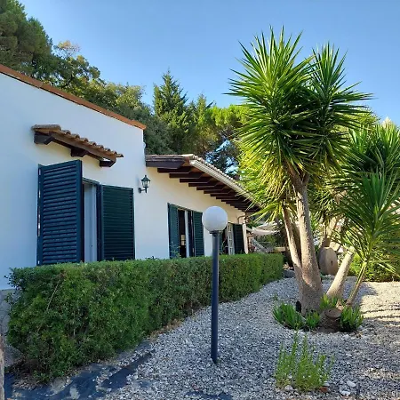 Casa Rustica Com Piscina E Jardim Calhandriz